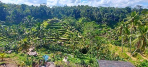 Photo générale de l'île de Bali en Indonesie
