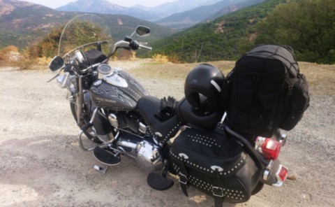 Softail Harley en Corse