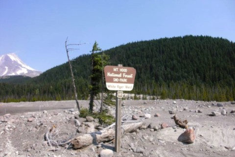 Olympic National et sa neige.