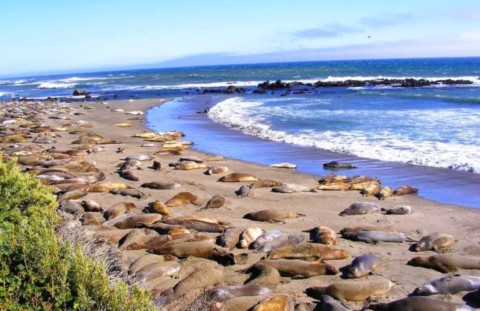 Plage le long de la Pacific Coast Highway.