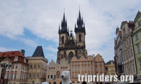 vieille ville Prague cathedrale