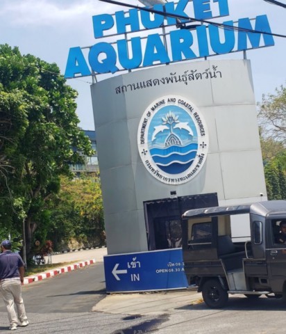Aquarium de Phuket