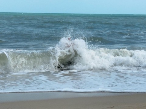 Plage de Lamai a Koh Samui