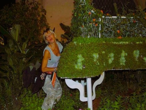 Run en Harley Davidson en Alsace.