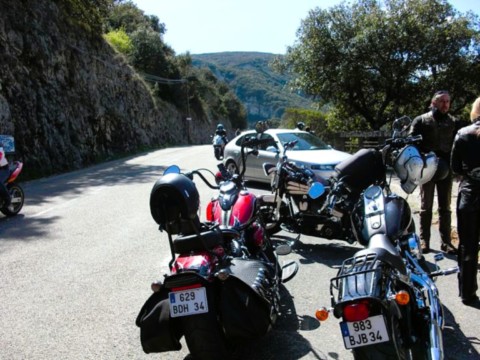Nos Harley en arrêt pipi