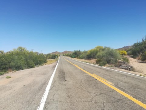 Arizona
