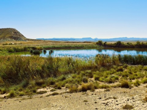 Bardenas Reales de Navarra point d'eau.