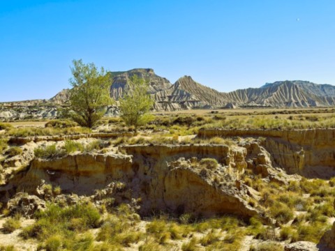 Photo déforestation du desert de Bardenas Reales