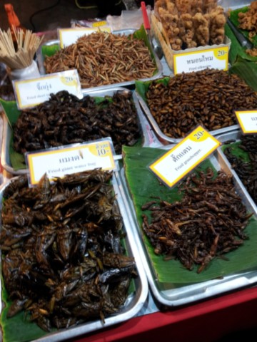 Insectes comestibles sur le marché