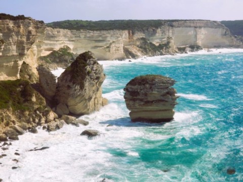 BONIFACIO