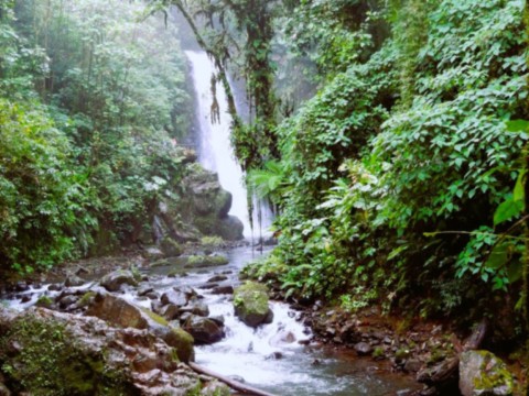 Cascade au centre du pays
