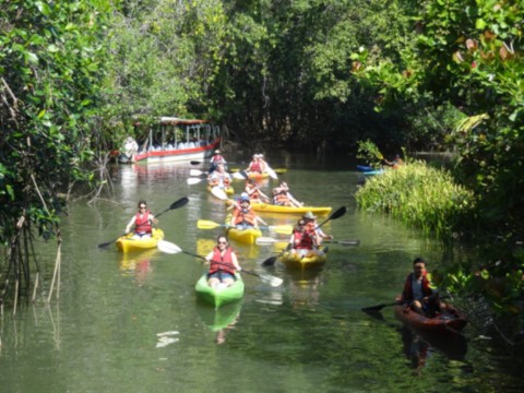 tourisme en kayak au centre du pays