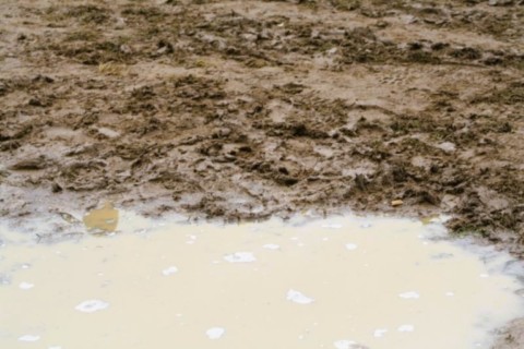 Free Weels de Courpiére 2011.