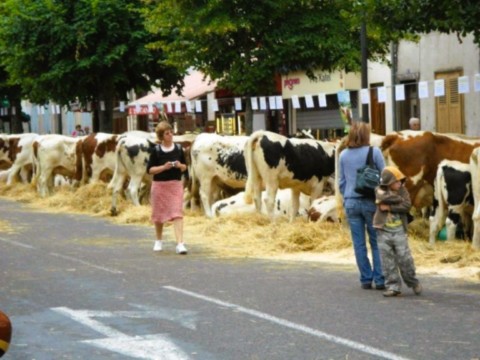 Free Weels de Courpiére 2011.