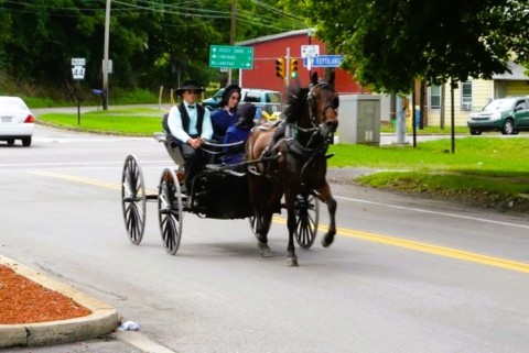 Les Amish Et L'usine Harley CVO