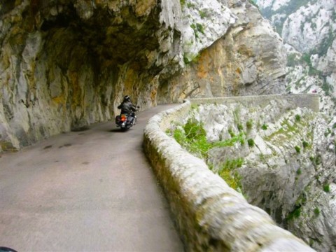 Un croisemeny y est impossible