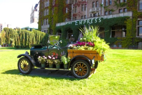 Beauté des espaces verts