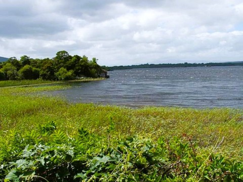 Parc National de Killarney 