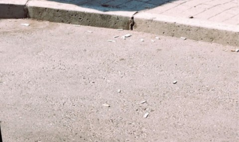 Mégots de cigarettes