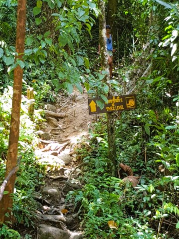 Les dangers principaux