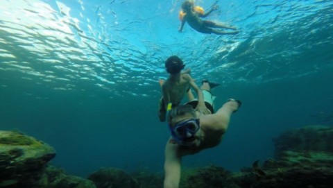 Plongée snorkeling