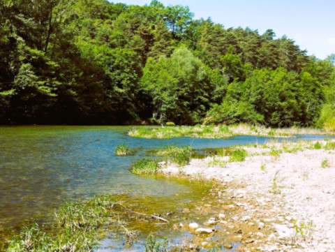 Gorges du Tarn à Riviere du Tarn