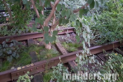 High Line ancien rails