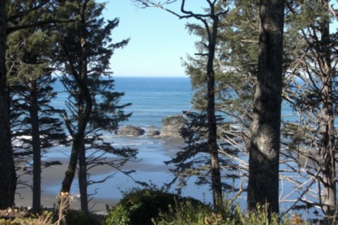 Vue du Pacifique vers Astoria