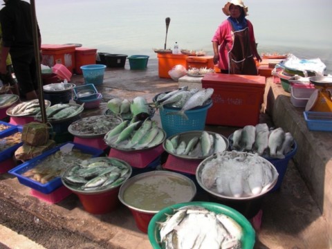 Poissonnerie en plein air