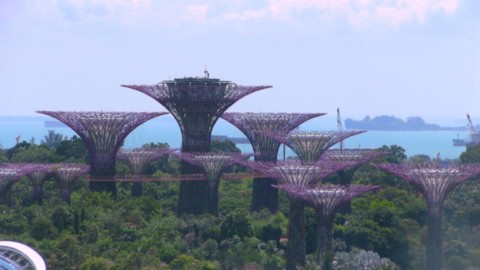 Gardenby the bay