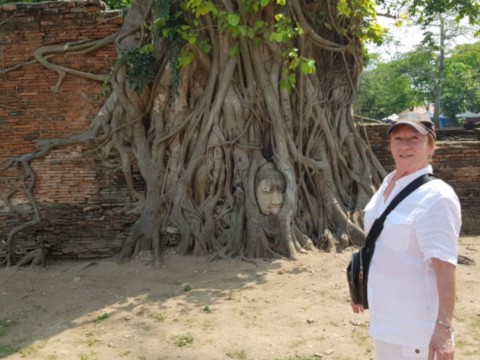  Ayatthuya​ et sa tête de bouddha enchevétrée