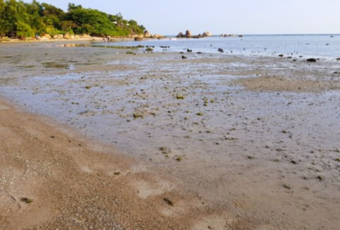 La mer, les plages