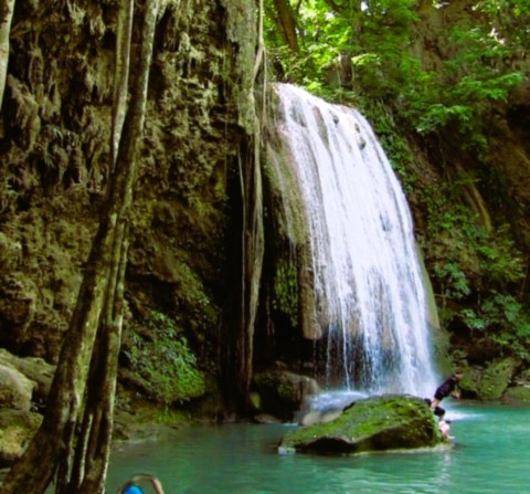Cascade du parc