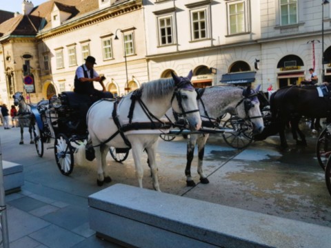 A voir à Vienne