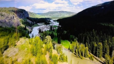 Vu de la rivière Yellowstone