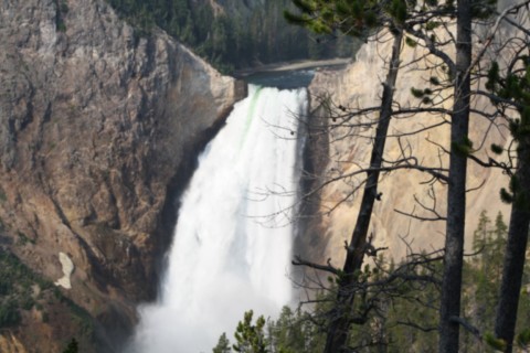 La yellowstone river